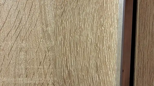 NoFace_Model webcam