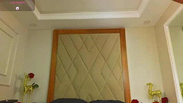 CharlesBrown_ webcam