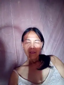 toyo_668 webcam