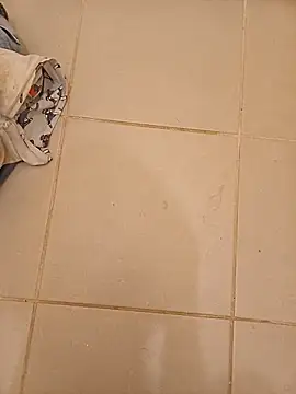 totolescientifique webcam