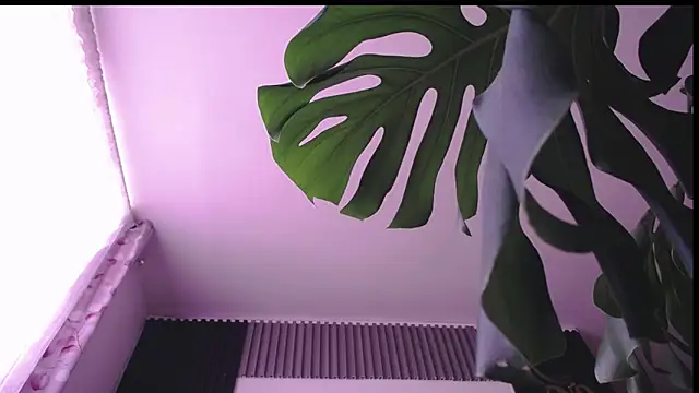 Santiago_kiler webcam