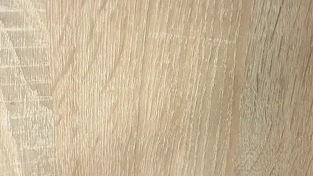 NoFace_Model webcam