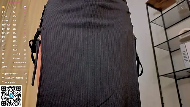 NerixalVire webcam