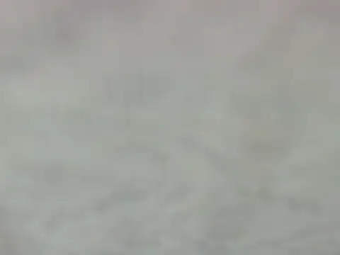 riks_tyler webcam
