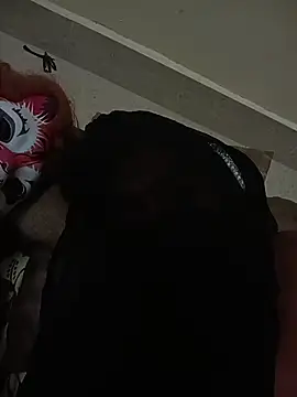 shinecore webcam