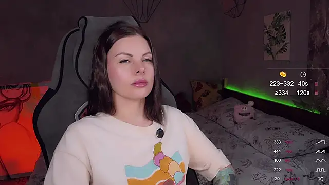 Alaska_ya webcam