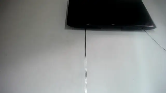 Fox_Loves webcam