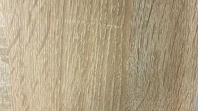 NoFace_Model webcam