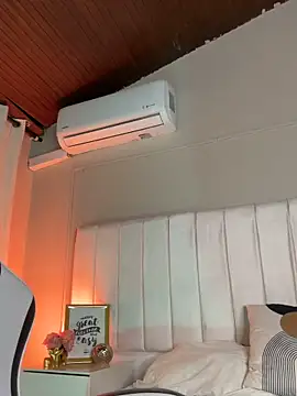 Samir_bear webcam