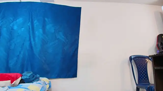 dominant_hipss webcam