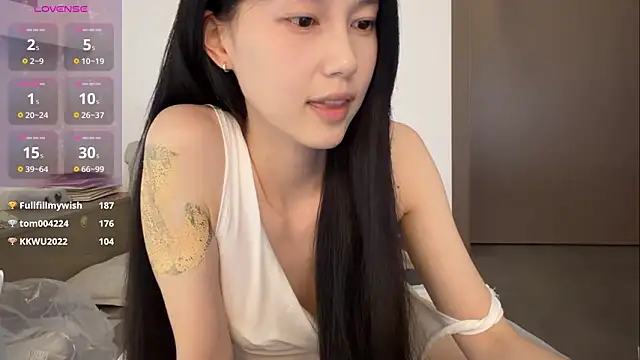 DD-5200 webcam