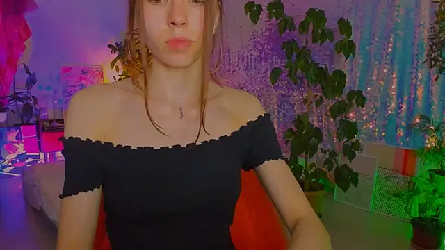 poli__ webcam