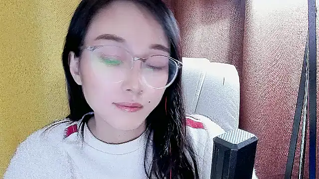 NIAN-er webcam