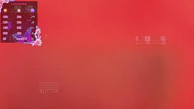 Armurra15 webcam