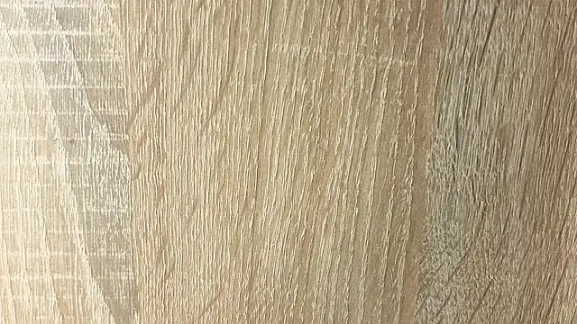 NoFace_Model webcam