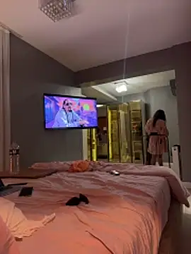 DarkDesin webcam