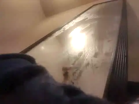 destroassbig2 webcam
