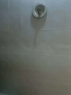 BellaNoirXXX webcam