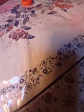 bela14 webcam