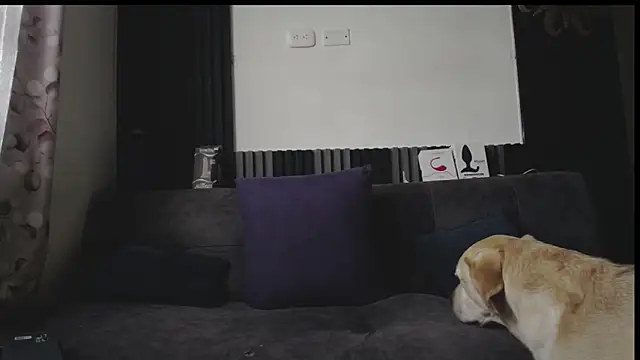 Santiago_kiler webcam