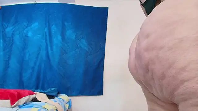 dominant_hipss webcam