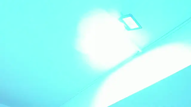 TaylorBloom webcam