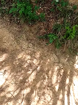 andresj22hot webcam