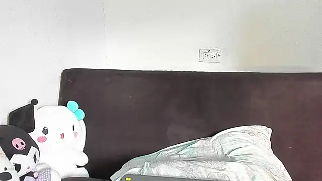 Eirlysx webcam
