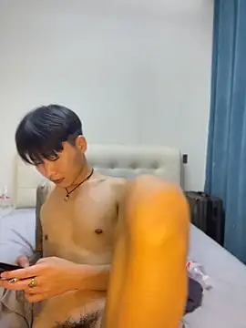 KKX808 webcam