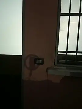 F0X89 webcam