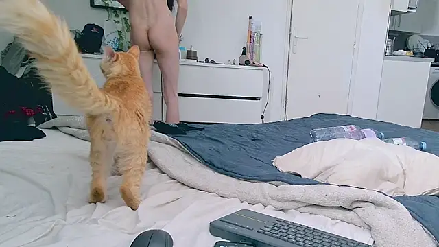 CeriseLapine webcam