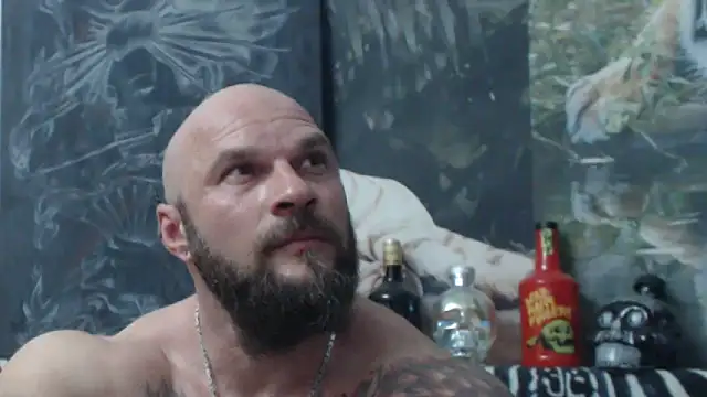 viking_30 webcam