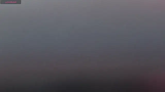 Paulina_g3 webcam
