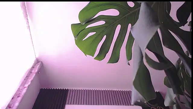 Santiago_kiler webcam