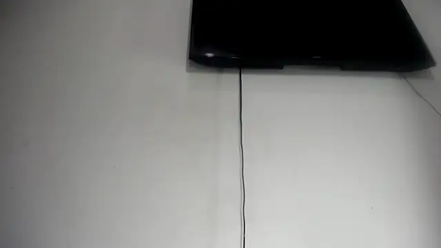 Fox_Loves webcam