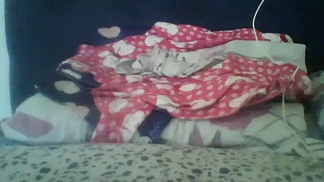 RDbruto webcam