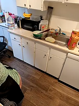 ziggyspice webcam
