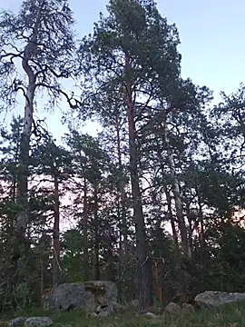 lindbe696 webcam