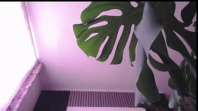 Santiago_kiler webcam