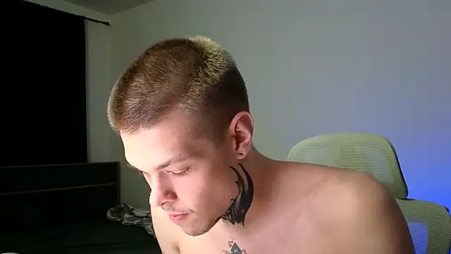 DENIS_HERE webcam