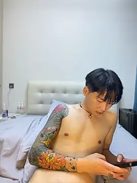 KKX808 webcam