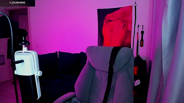 Vulgar_Tamer webcam