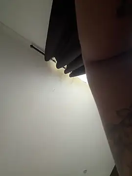 pawmistry webcam