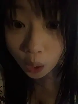 xiaozhu-668