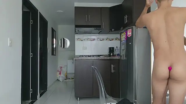 grey___27 webcam