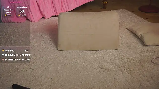 Nayeomy webcam
