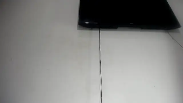 Fox_Loves