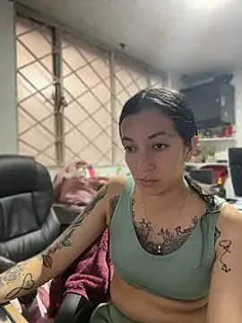SALOME_KORLAND webcam