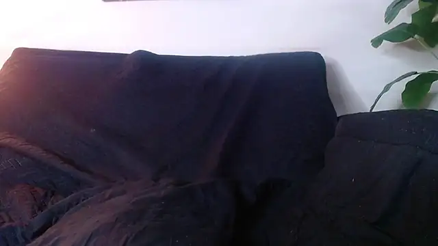Jesve webcam