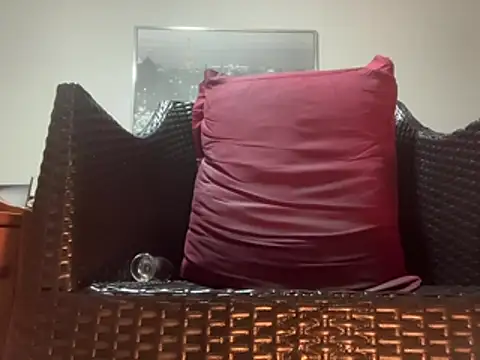Tyyson03 webcam